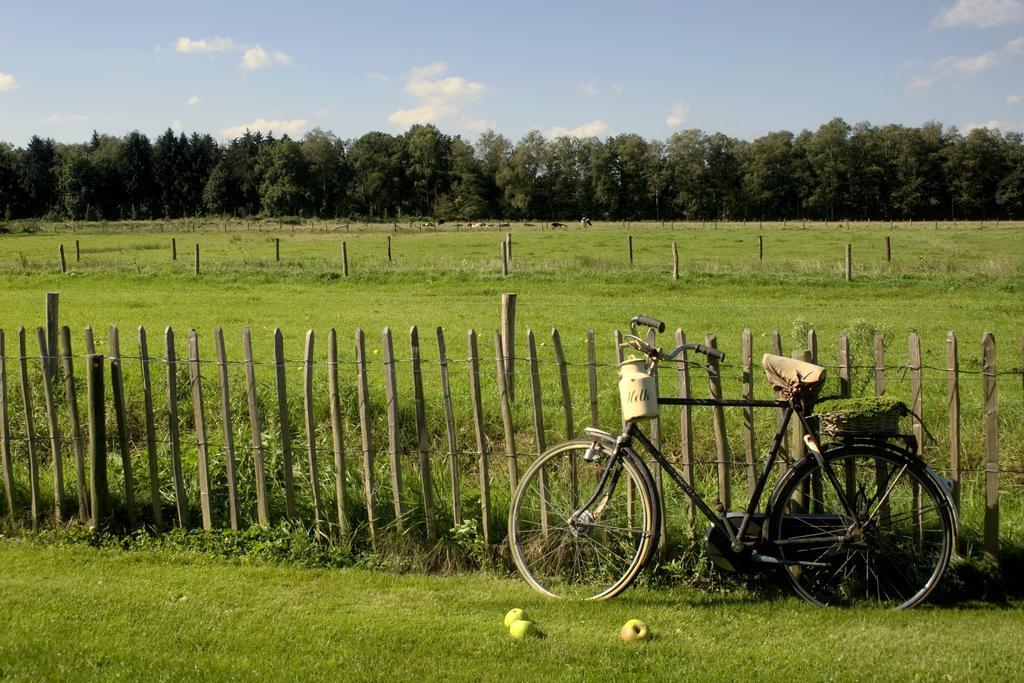 Bed and Breakfast Oranje Hoeve Helenaveen Exterior foto