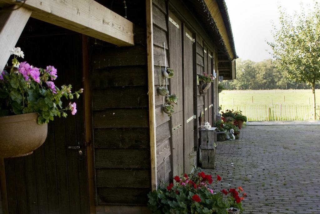 Bed and Breakfast Oranje Hoeve Helenaveen Exterior foto